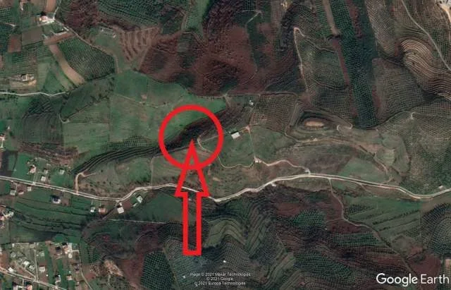 Shitet Toke Are 8.700 m², Cmimi Reference 1,000,000 Leke (Mamurras, Kurbin)