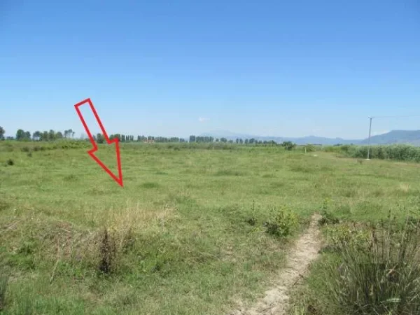 Shitet Toke Are 7.776 m², Cmimi Fillestar 2,808,000 Leke (Fushe Mahmurras)