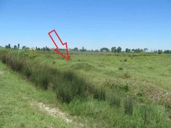 Shitet Toke Are 7.776 m², Cmimi Fillestar 2,808,000 Leke (Fushe Mahmurras)