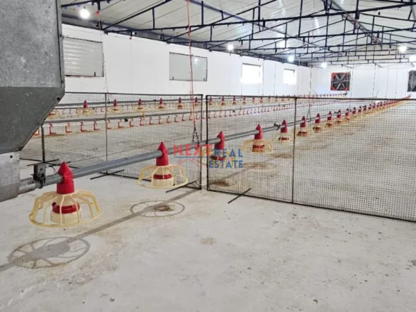 Fier, shes SHITET FERME PER PULA NE FIER 750.000 €