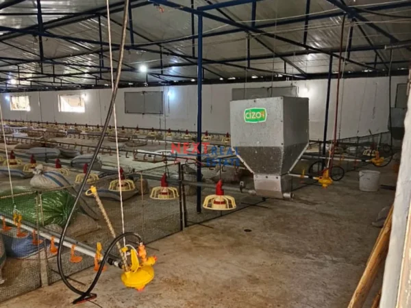 Fier, shes SHITET FERME PER PULA NE FIER 750.000 €