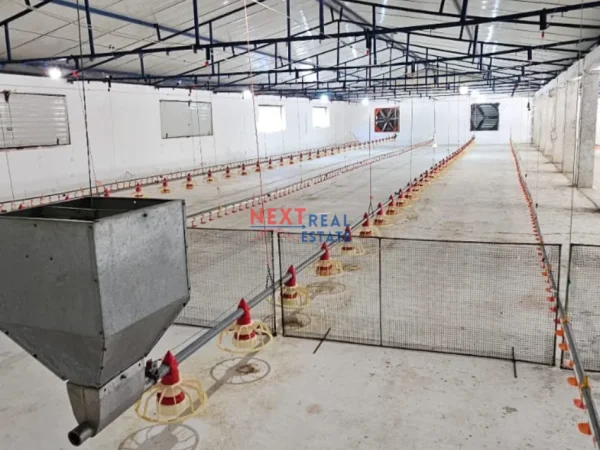 Fier, shes SHITET FERME PER PULA NE FIER 750.000 €