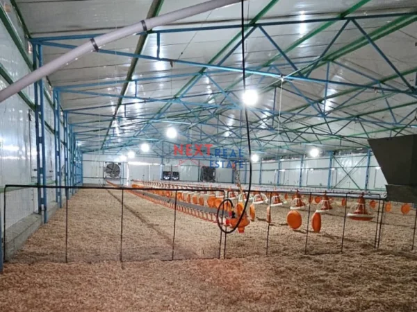 Fier, shes SHITET FERME PER PULA NE FIER 750.000 €