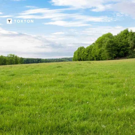 Tirane, shitet toke , 2.000 m² 180.000 € (Paskuqan)