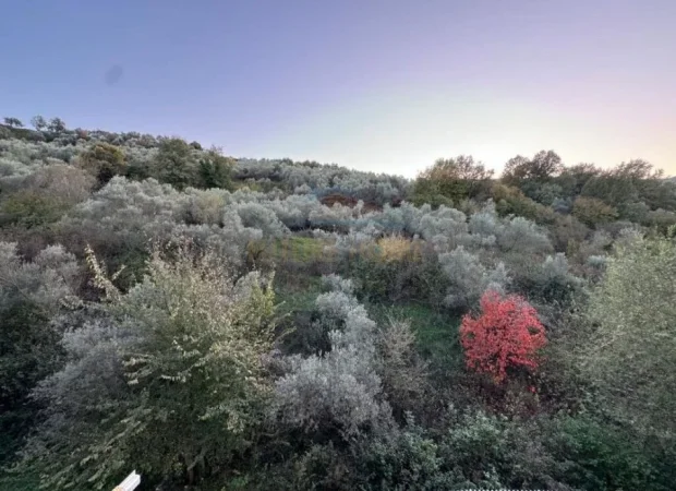 Tirane, shitet apartament 2+1 Kati 2, 107 m² 225.000 € (Kopshti Zoologjik)