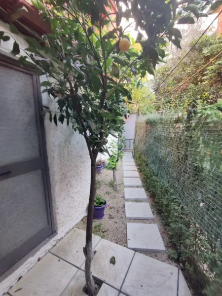 Tirane, jepet me qera ambjent biznesi Kati 0, 16 m² 370 € (Rruga Islam Alla)