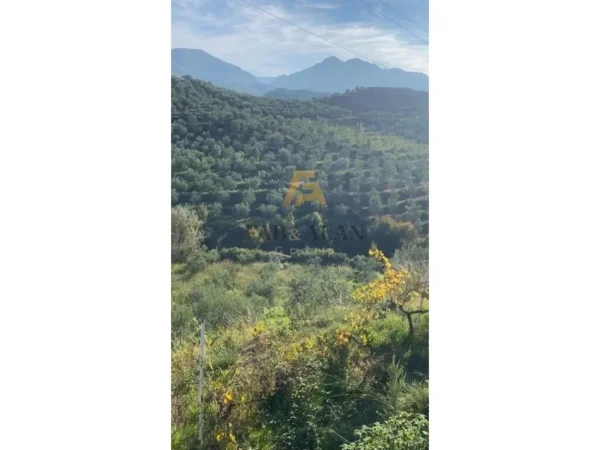 Tirane, shitet toke , 41.000 m² 385.000 € (Liqeni i Cerkezes)