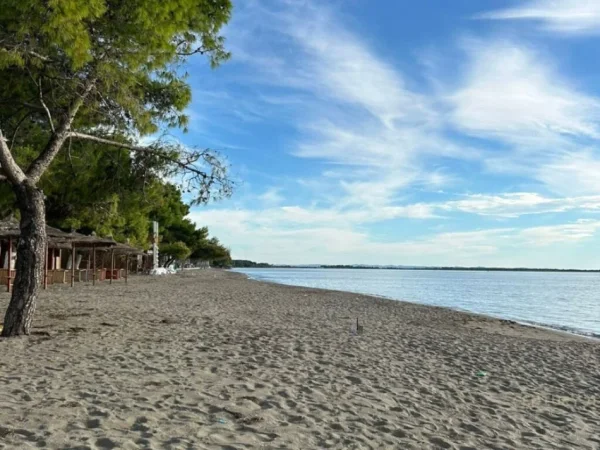 Lezhe Shengjin, shitet 1+1+Ballkon Kati 8, 79 m² 107.000 € 