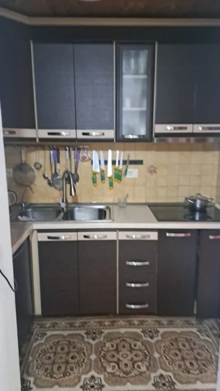 Tirane, jepet me qera Vile 2+1 Kati 2, 93 m² 500 € (Ali demi Tirane)