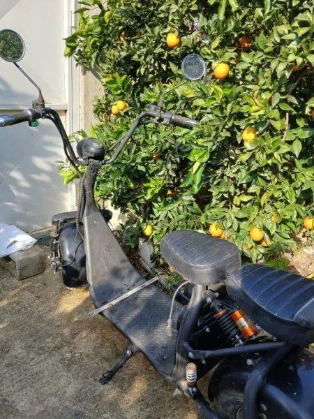 Fier, shitet Motociklete , e zeze 700 €