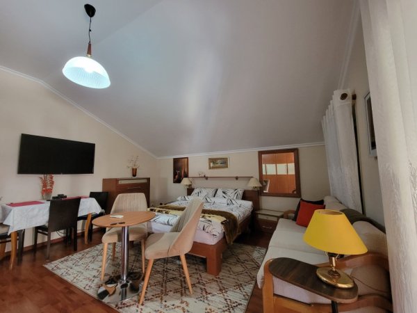 Tirane, jepet me qera Vile 1+1 Kati 2, 62 m² 500 € (Rruga e Kosovareve)