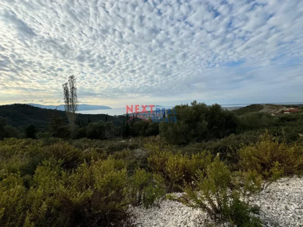 Vlore, shitet toke , 5.000 m² 440.000 € (KANINE)