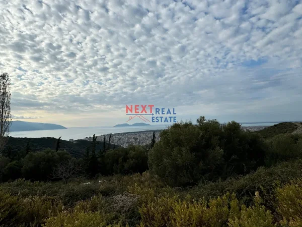 Vlore, shitet toke , 5.000 m² 440.000 € (KANINE)