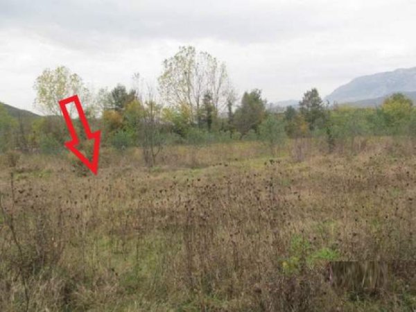 Shitet Tokë Are 6.700 m², Cmimi Fillestar 4,608,000 Leke (Verjon, Kruje)