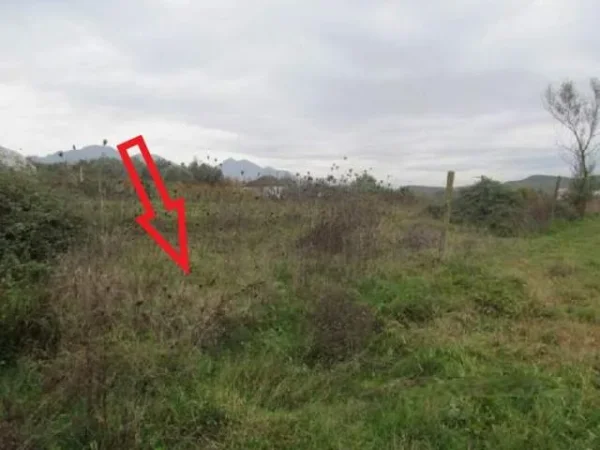 Shitet Tokë Are 6.700 m², Cmimi Fillestar 4,608,000 Leke (Verjon, Kruje)