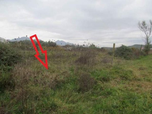 Shitet Tokë Are 6.700 m², Cmimi Fillestar 4,608,000 Leke (Verjon, Kruje)