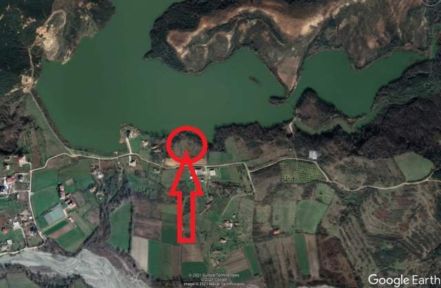 Shitet Tokë Are 6.700 m², Cmimi Fillestar 4,608,000 Leke (Verjon, Kruje)