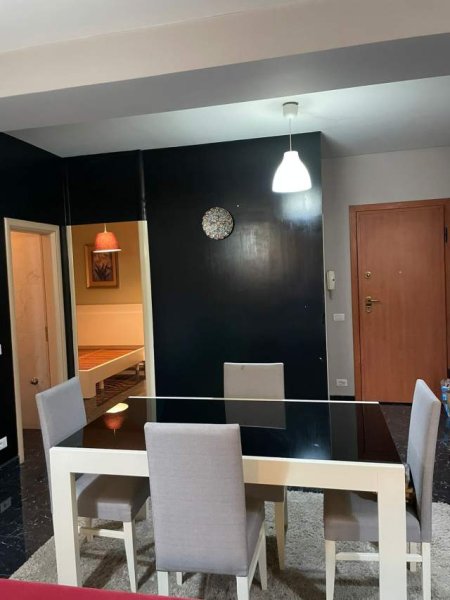 Apartament me qera 1+1, Zogu i Zi