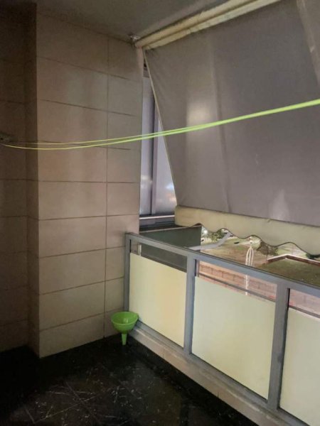 Apartament me qera 1+1, Zogu i Zi