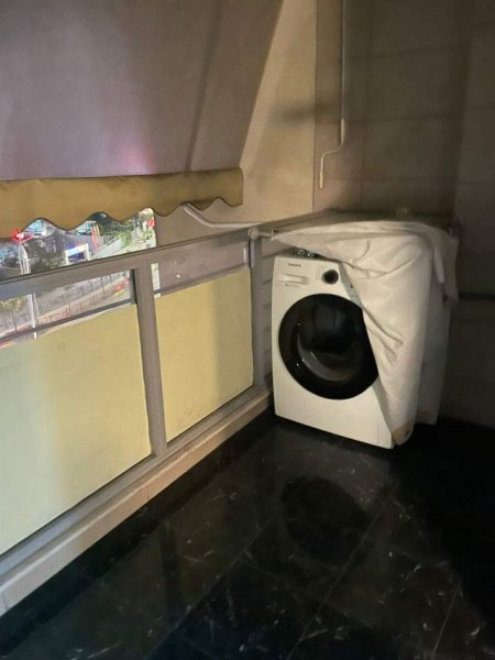 Apartament me qera 1+1, Zogu i Zi