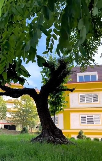 Tirane, shitet apartament 1+1 , 75 m² 113.000 € (Liqeni Farkes)