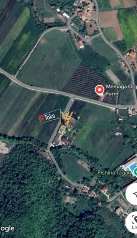 Tirane, shitet toke , 10.000 m² 700.000 € (PETRELE)