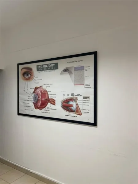 Tirane, okazion OKAZION!!! Shitet Biznesi OPTIKE te 21 Dhjetori 18.000 €