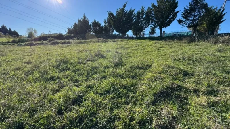 Tirane, shes toke bujqesore , 4.000 m² 320.000 € (AUTOSTRADE TR-DRR TE UNIVERS REKLAMA)