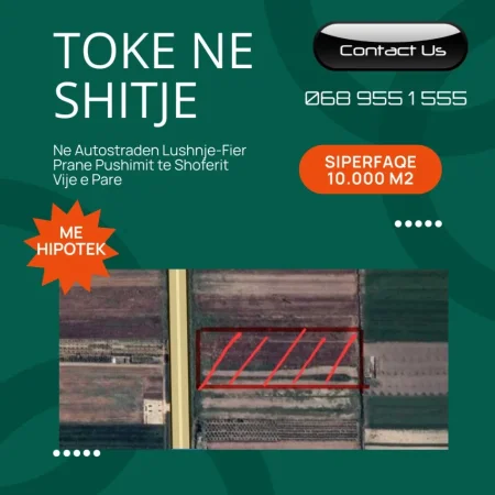 Lushnje, shes toke bujqesore , 10.000 m² (Autostrada Lushnje-Fier)