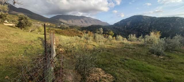 Tirane, shes toke 2.000 m² 40 Euro/m2 (Rruga e Rexhekrit, Surrel, Tirane)