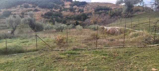 Tirane, shes toke 2.000 m² 40 Euro/m2 (Rruga e Rexhekrit, Surrel, Tirane)