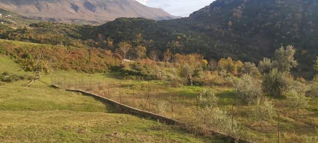 Tirane, shes toke 2.000 m² 40 Euro/m2 (Rruga e Rexhekrit, Surrel, Tirane)