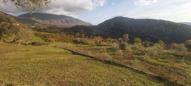 Tirane, shes toke 2.000 m² 40 Euro/m2 (Rruga e Rexhekrit, Surrel, Tirane)