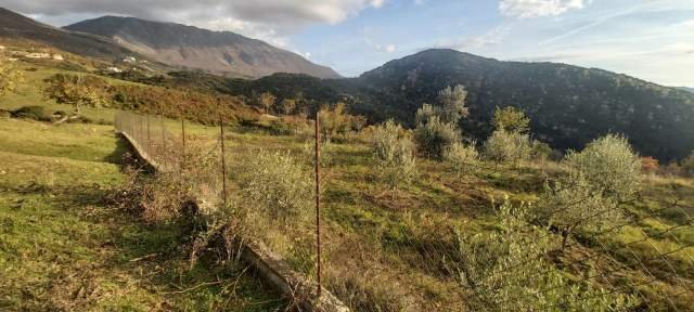 Tirane, shes toke 2.000 m² 40 Euro/m2 (Rruga e Rexhekrit, Surrel, Tirane)