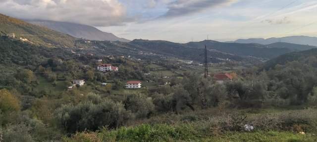 Tirane, shes 5.000 m² 80 Euro/m2 (Rruga e Dajtit, Tirane)