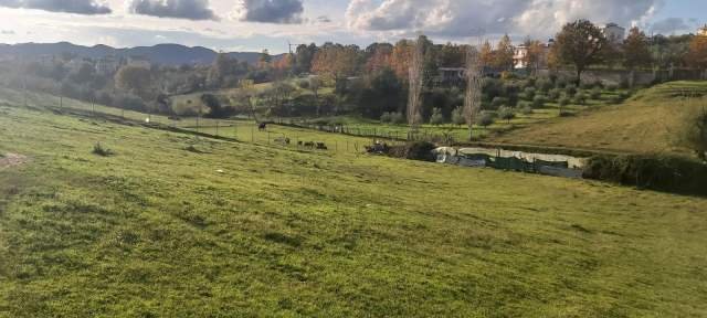 Tirane, shes toke 2.000 m² 70 Euro/m2 (Rruga e Vrapeve, Farke, Tirane)