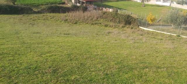 Tirane, shes toke 5.000 m² 100 Euro/m2 (Rruga e Vrapeve, Farke, Tirane)