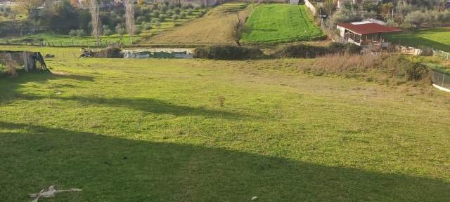 Tirane, shes toke 5.000 m² 100 Euro/m2 (Rruga e Vrapeve, Farke, Tirane)