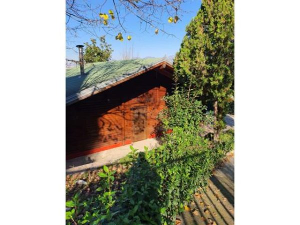 Tirane, jap me qera Vile 2.000 m² 1.000 Euro (Mjull-Bathore)