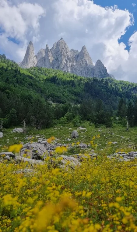 Guide touristique en Albanie