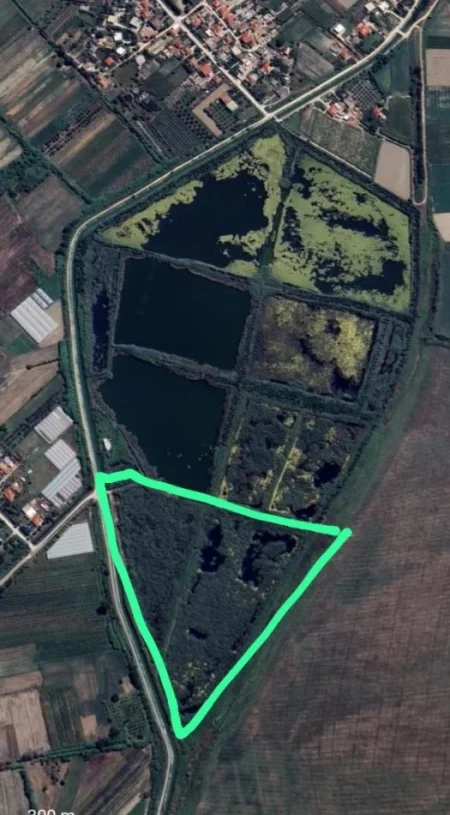 Lushnje, shes toke , 440.000 m² (Mezhaj, Zhelizhan)