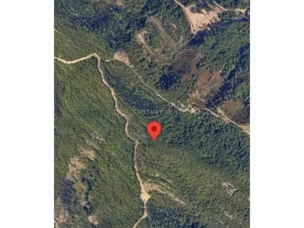 Tirane, shes toke , 11.200 m² 560.000 € (Farkë)