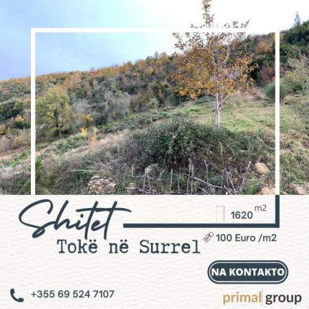 Tirane, shes toke 1.620 m² 100 Euro/m2 (Nacjonale Dajt)