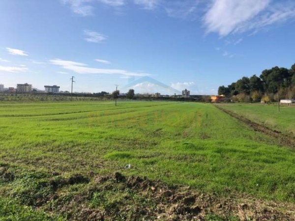 Shkembi Kavajes, shes truall 18.000 m² 54.000 Euro (BMW)