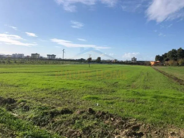 Durres, shes toke 1.800 m² 54.000 Euro (Shkëmbi i Kavajës)