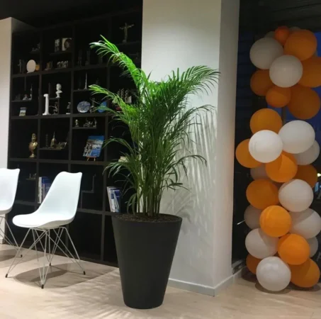 Tirane, jepet me qera ambjent biznesi Kati 2, 140 m² 1.400 € (21 DHJETORI)