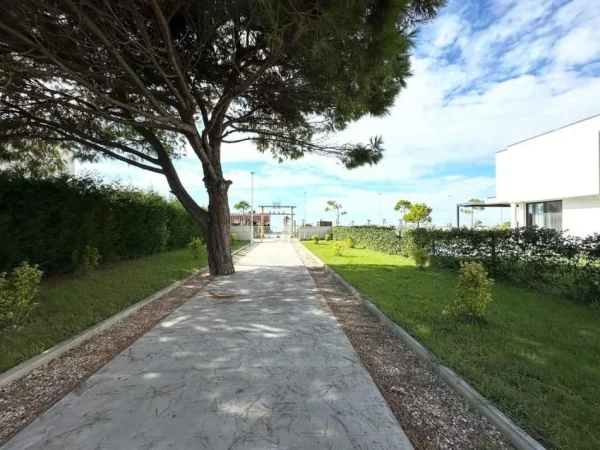 Gjiri Lalezit | Hamallaj, shitet apartament 1+1 Kati 0, 66 m² 155.000 € 