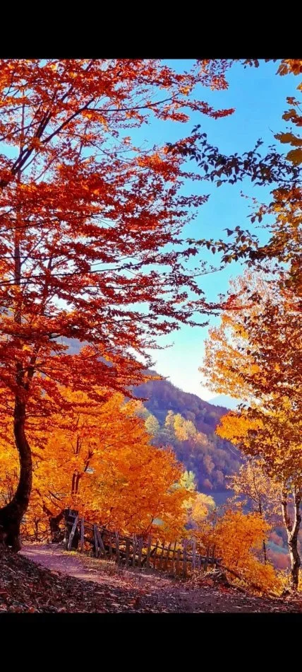 L'Albanie et ses trésors