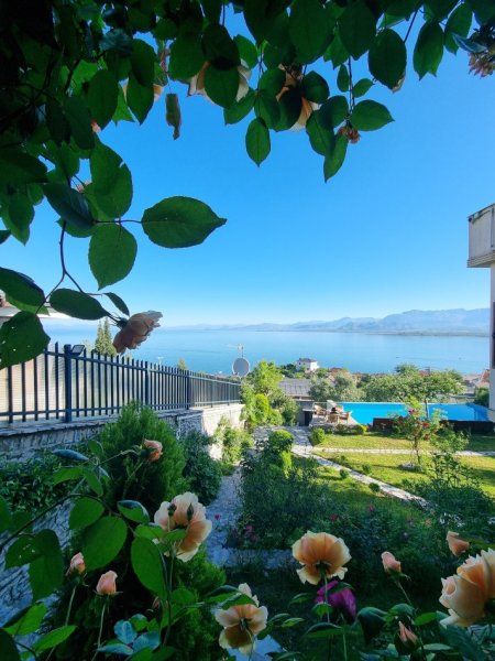 Guide conducteur francophone en Albanie et dans les Balkans