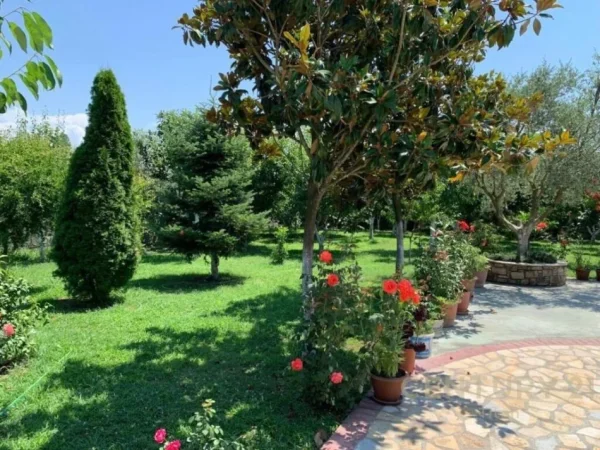 Tirane, shes ambjent biznesi Kati 3, 16.000 m² 2.000.000 € 